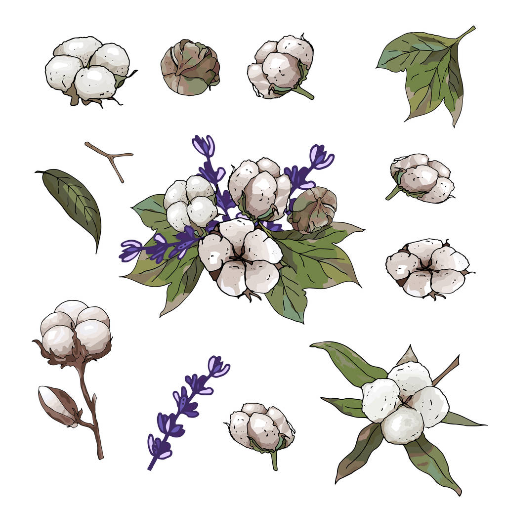 （2024年11月28日）今日棉花期货价格最新价格查询