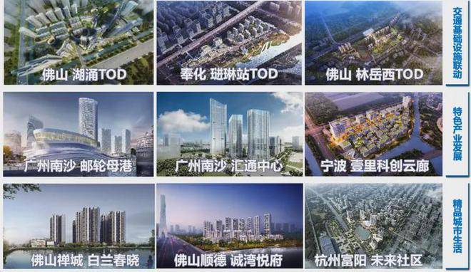 2024年11月28日松香报价最新价格多少钱