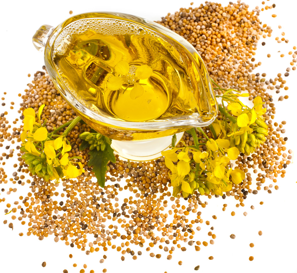 11月28日菜籽粕期货持仓龙虎榜分析：空方离场情绪强于多方