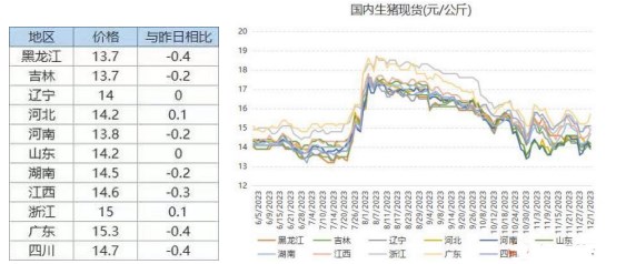 (2024年11月29日)今日生猪期货最新价格查询