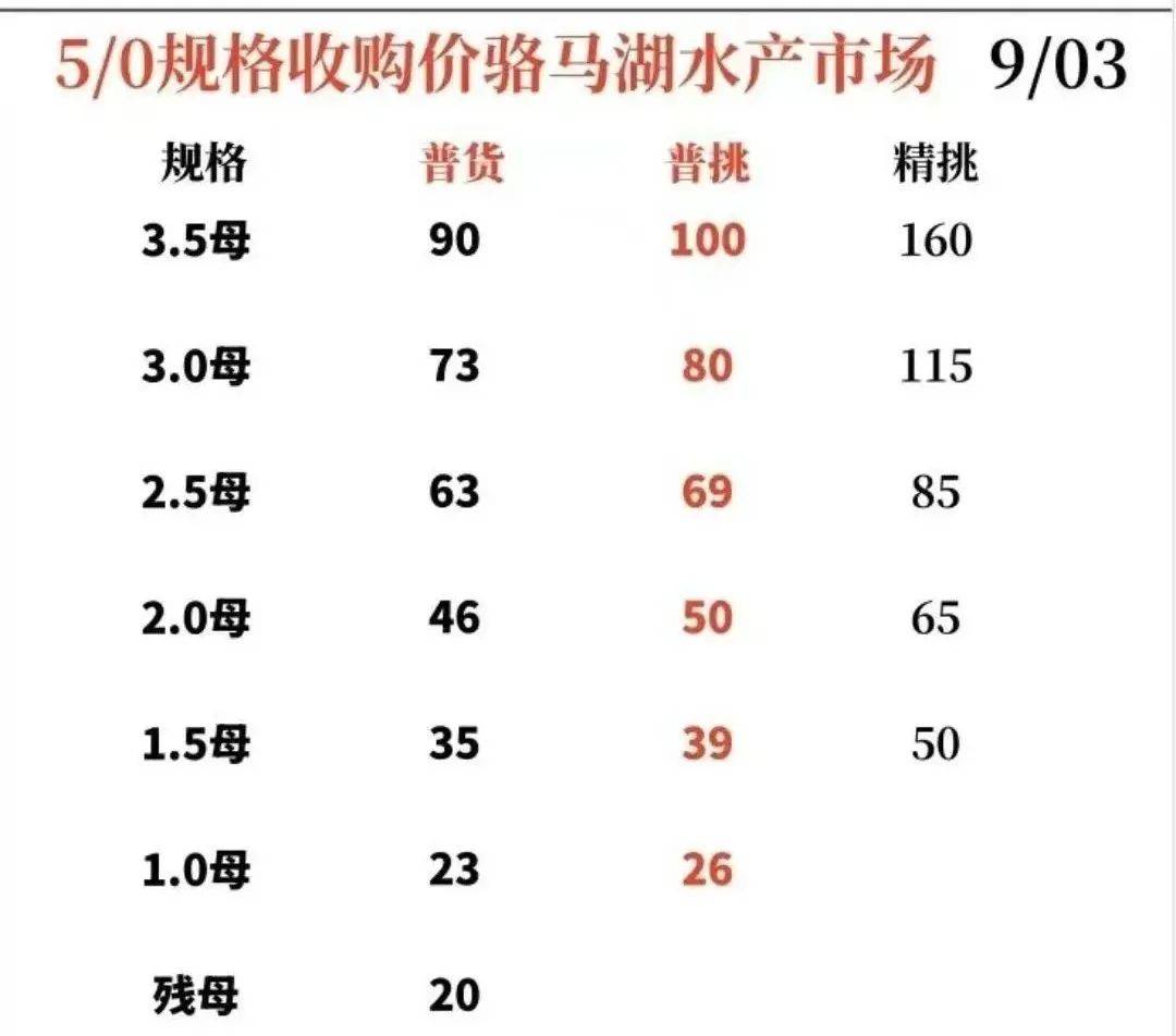 (2024年11月29日)今日生猪期货最新价格查询
