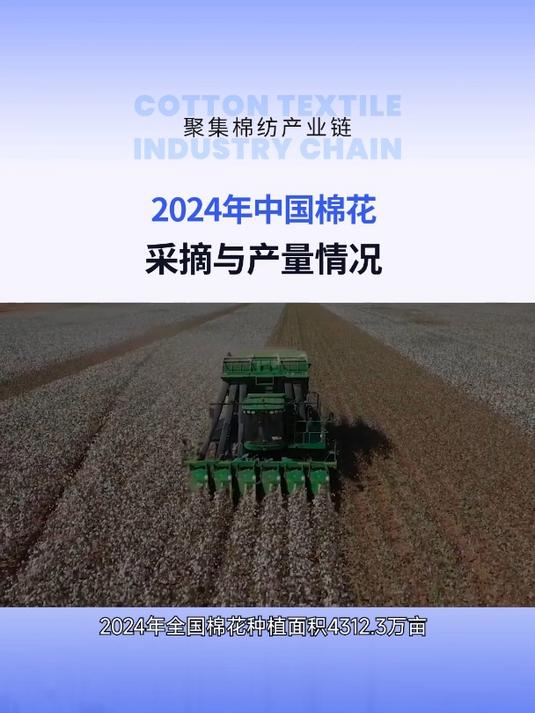 2024年11月29日今日现货棉花价格最新报价多少钱一吨