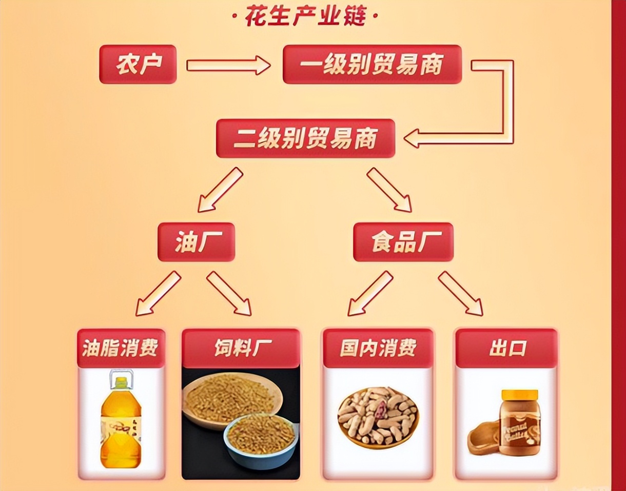 （2024年12月2日）今日花生期货最新价格查询