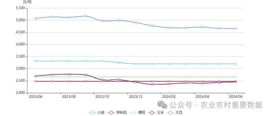 （2024年12月2日）今日小麦期货和美小麦价格行情查询