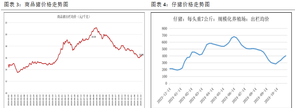 （2024年12月4日）今日生猪期货最新价格查询