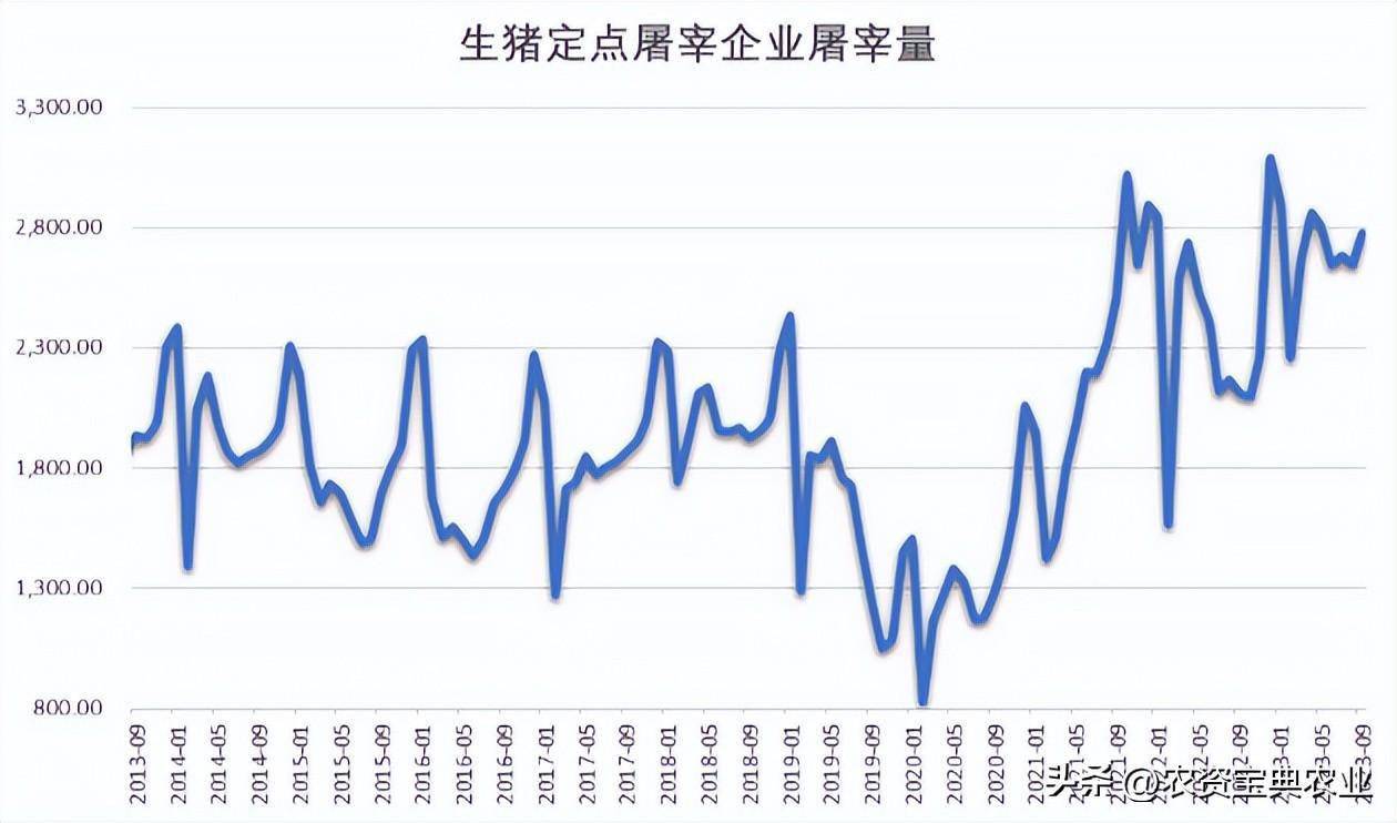 （2024年12月5日）今日玉米期货和美玉米最新价格查询