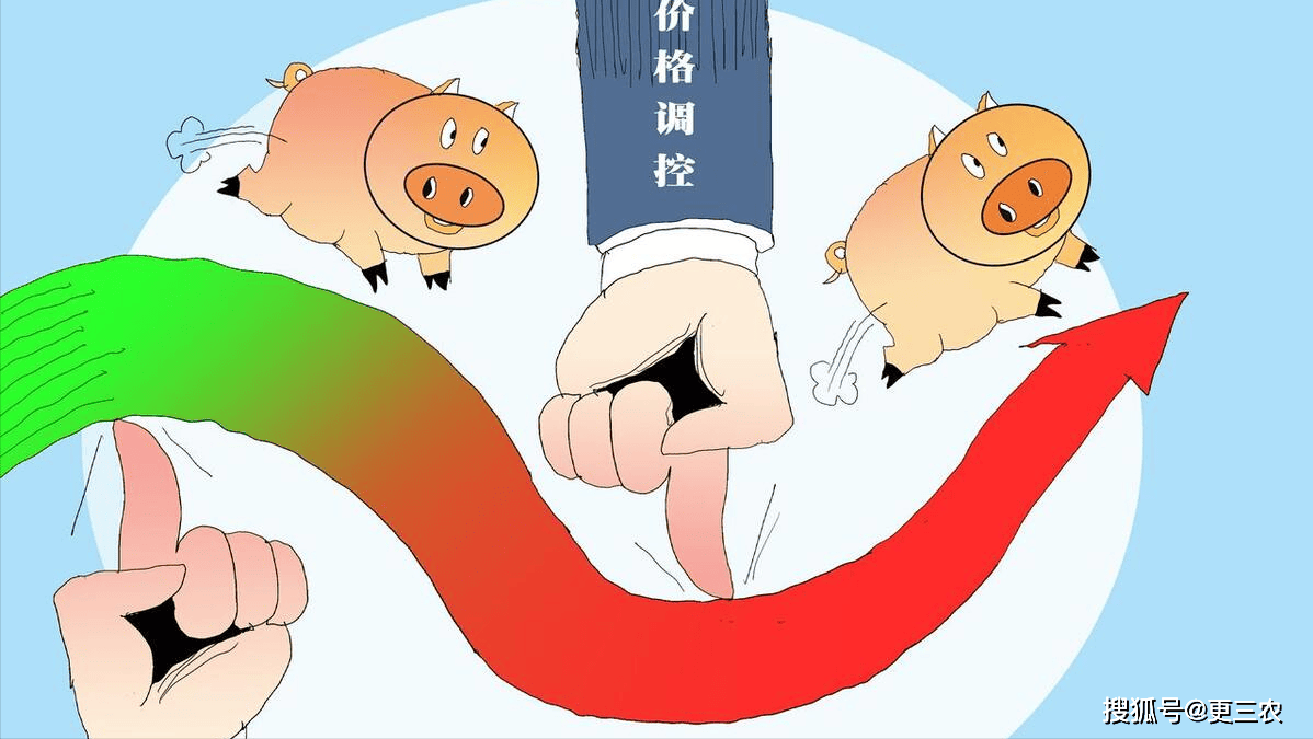 生猪难有规模二育动作 价格或维持走弱趋势