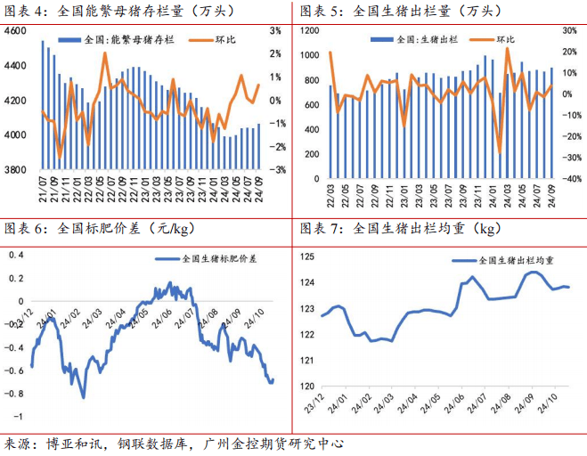 （2024年12月9日）今日生猪期货最新价格查询