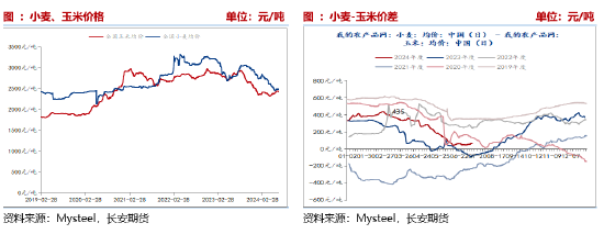 （2024年12月11日）今日玉米期货和美玉米最新价格查询