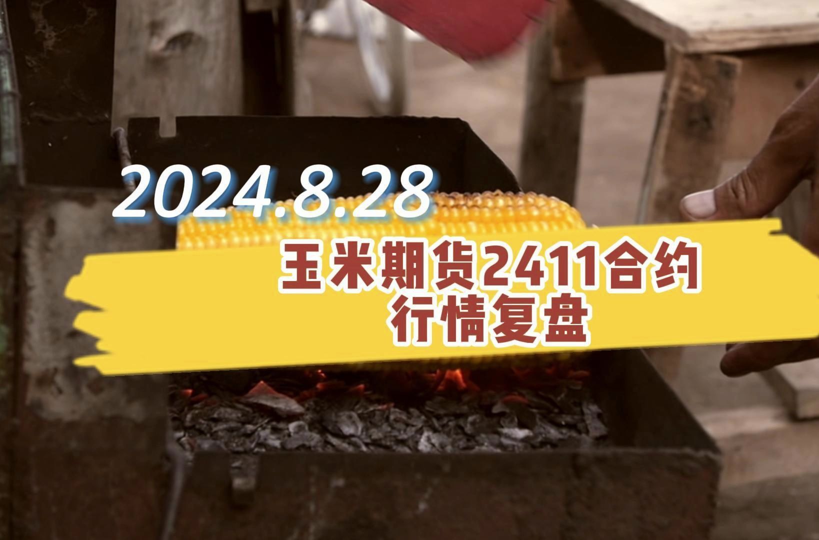 （2024年12月12日）今日玉米期货和美玉米最新价格查询