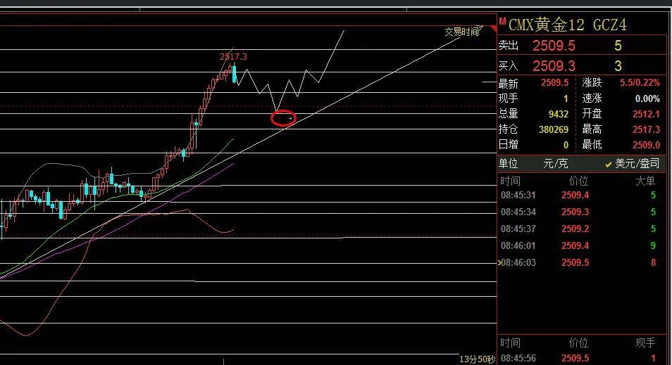 (2024年12月13日)今日棉花期货价格最新价格查询
