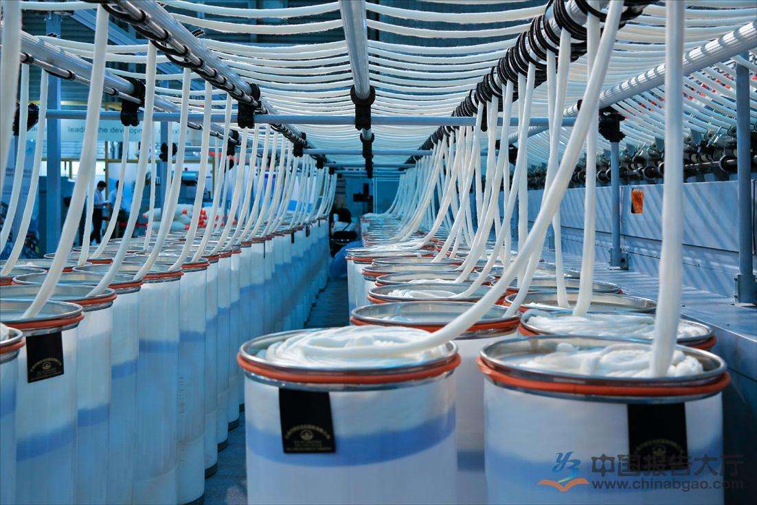 (2024年12月13日)今日棉花期货价格最新价格查询