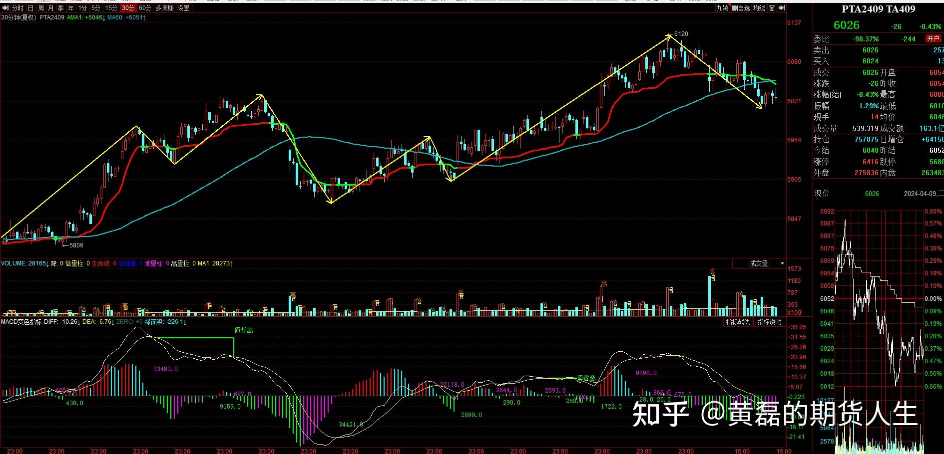 12月13日收盘菜籽油期货资金流出1.31亿元