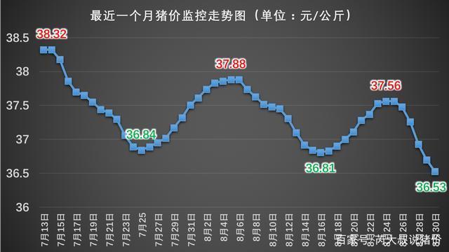 2024年12月13日今日工业面粉价格最新行情走势
