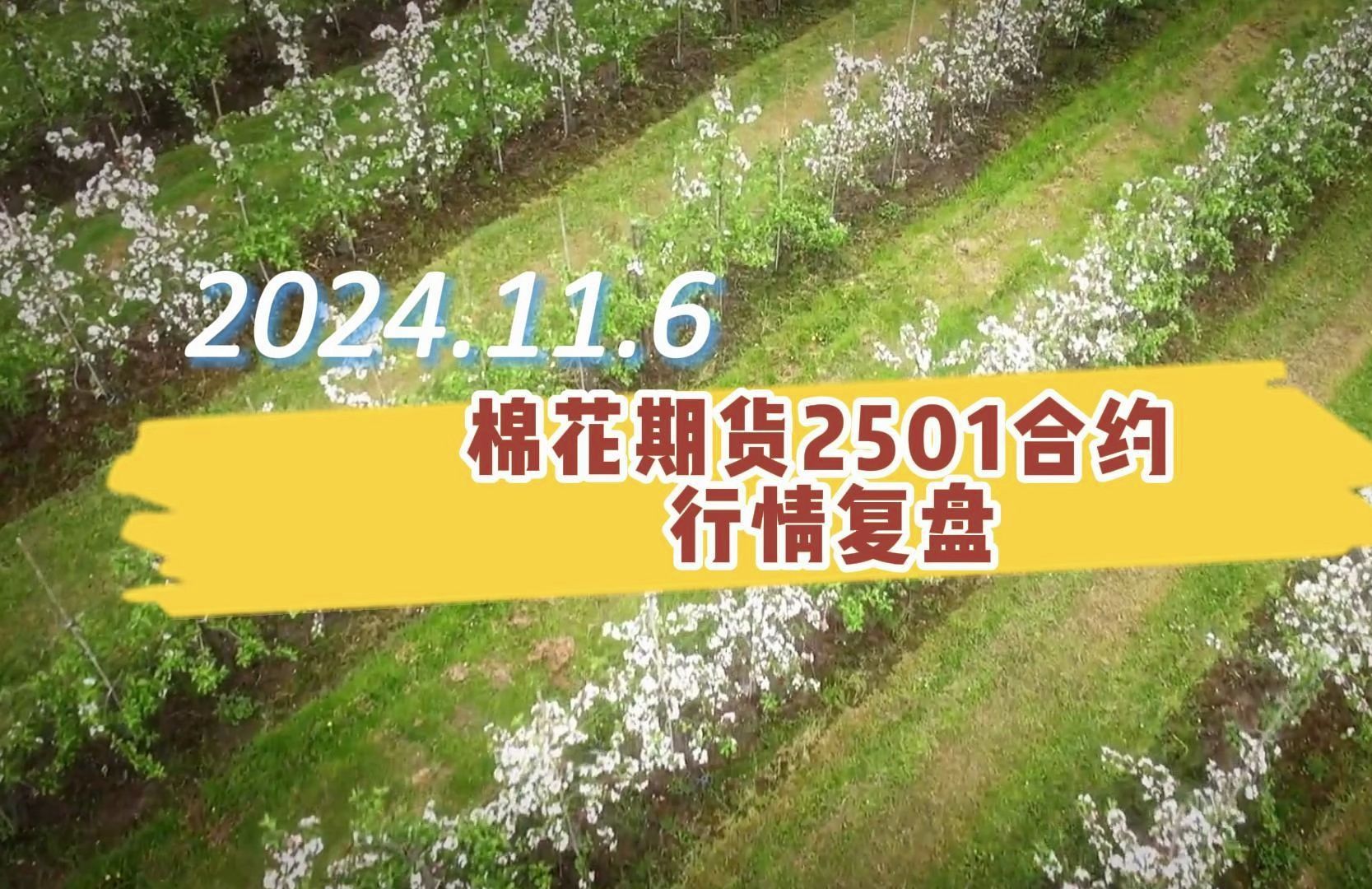 (2024年12月17日)今日棉花期货价格最新价格查询