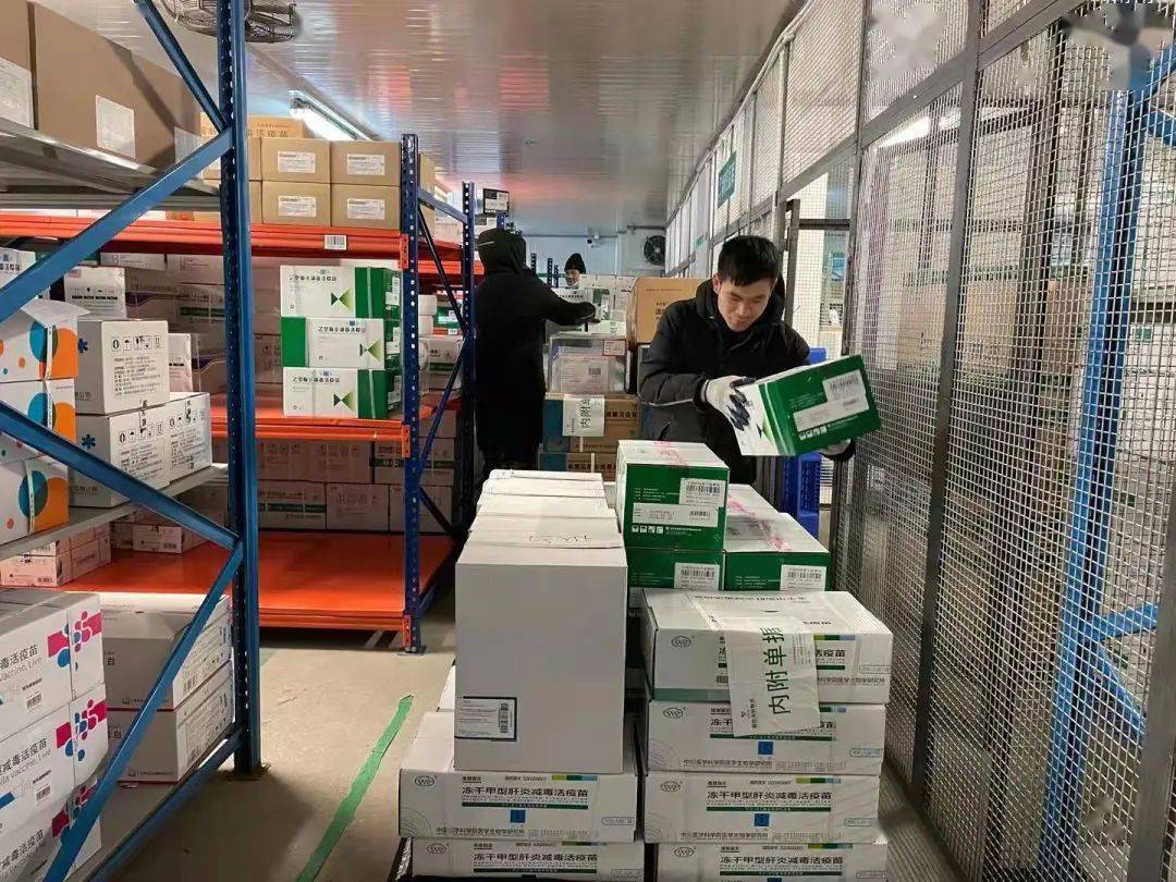 元旦备货期临近 苹果出库速度将持续加快