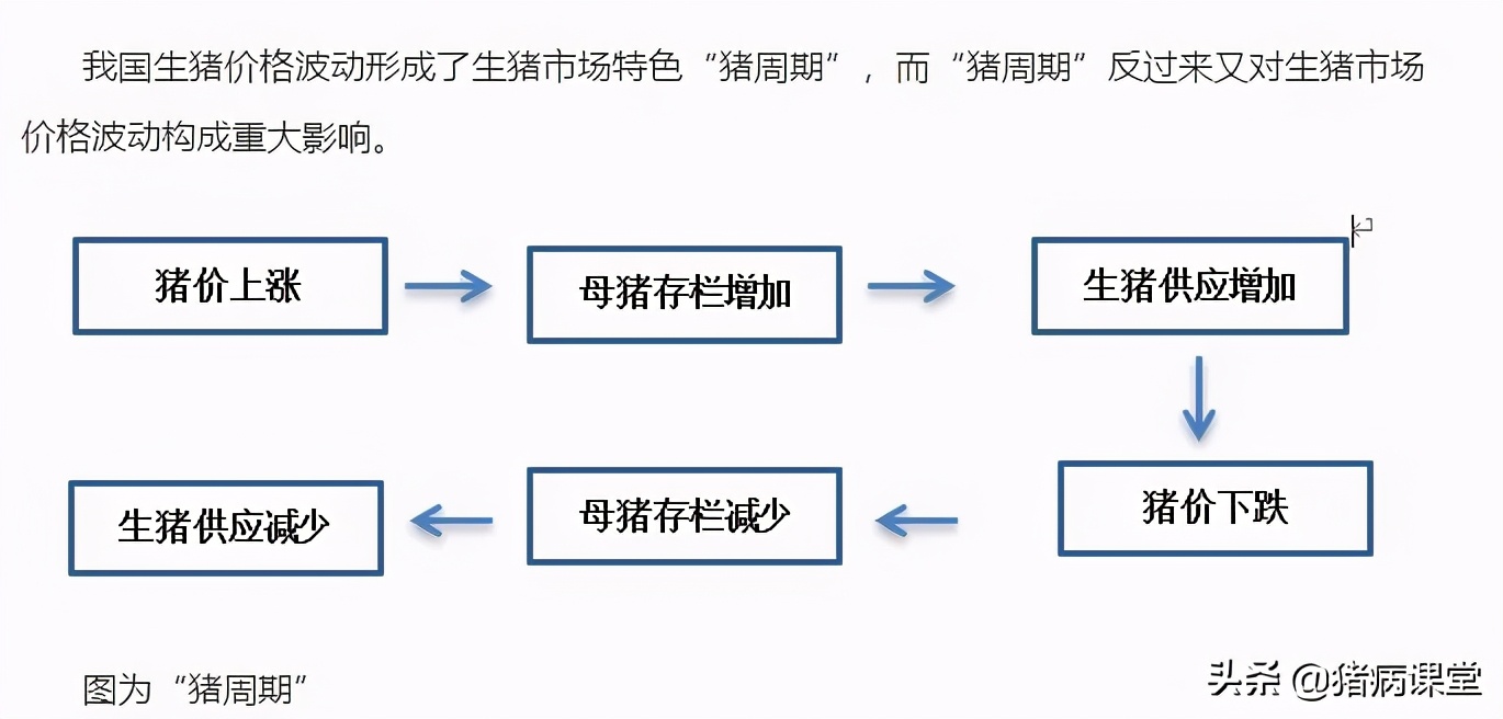 12月17日生猪期货持仓龙虎榜分析：多空双方均呈进场态势
