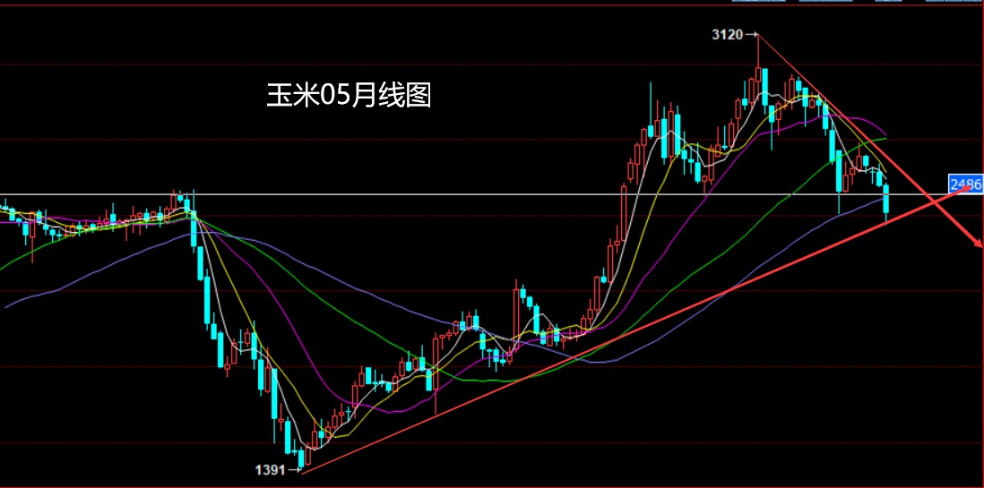 （2024年12月18日）今日玉米期货和美玉米最新价格查询