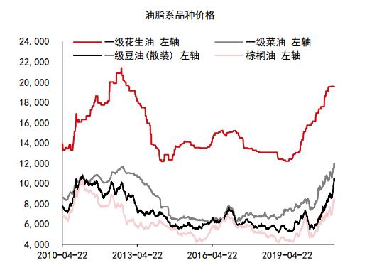 （2024年12月19日）今日花生期货最新价格查询