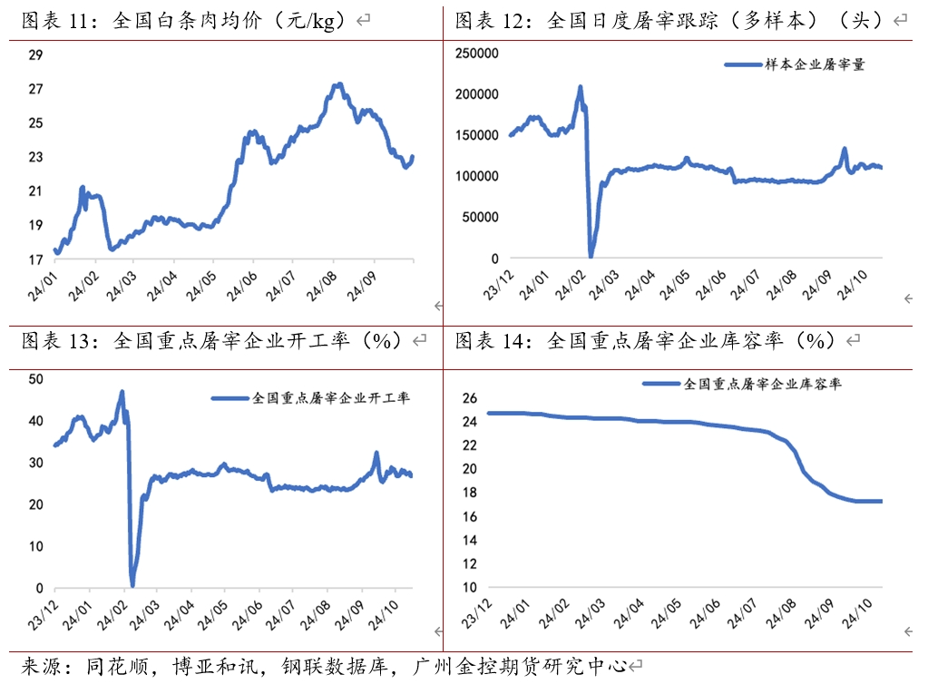 （2024年12月19日）今日生猪期货最新价格查询