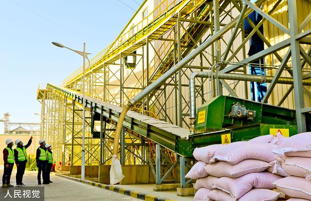 12月19日收盘玉米期货资金流入1965.75万元