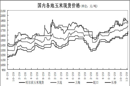(2024年12月20日)今日玉米期货和美玉米最新价格查询