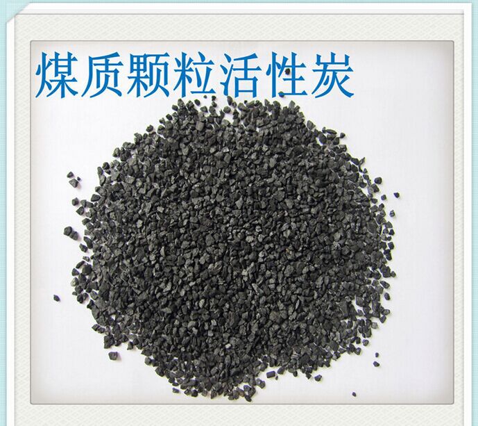 2024年12月21日今日煤质颗粒活性炭价格最新行情消息
