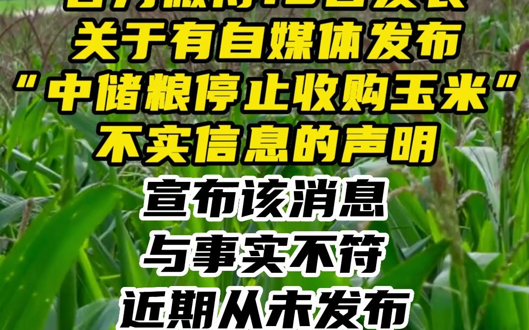玉米缺乏向上反弹驱动 中储粮收购指标没有放宽