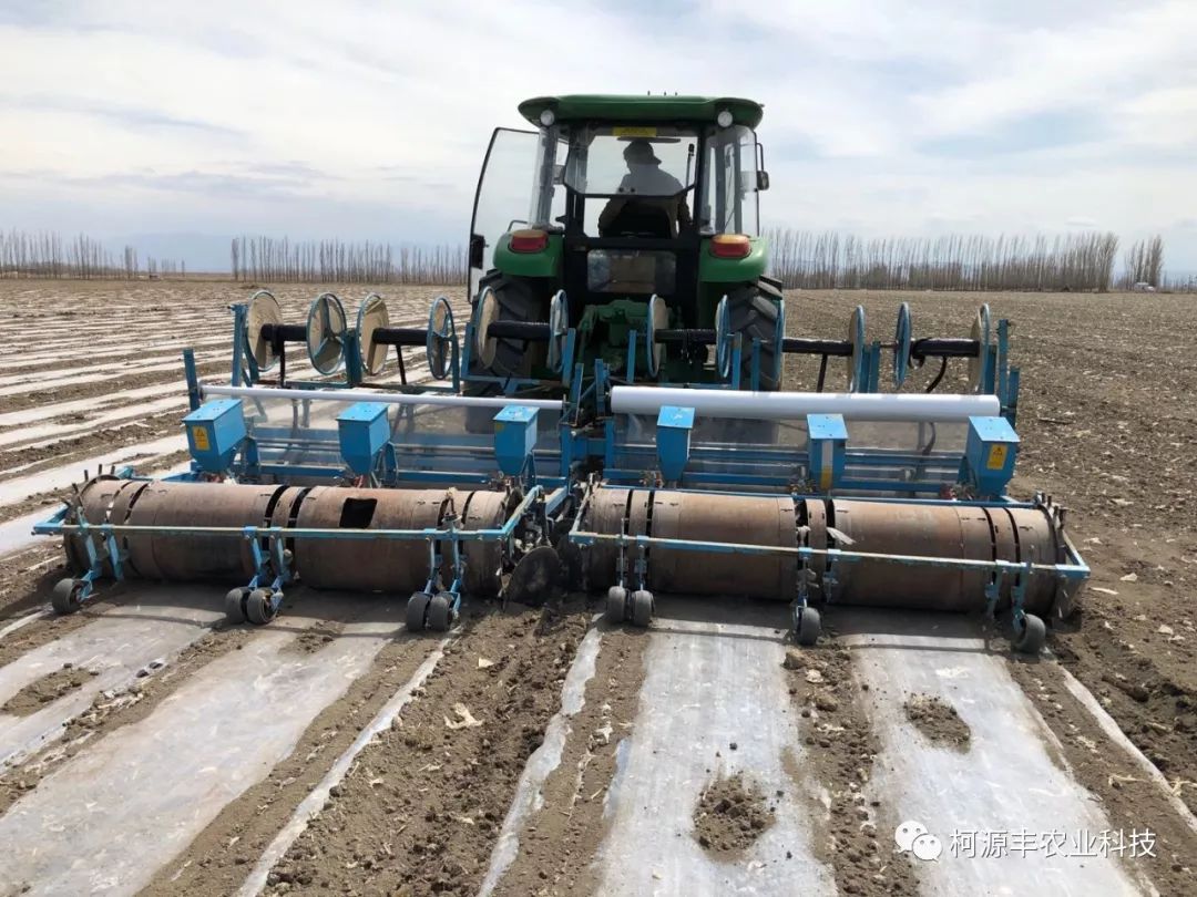 2024年12月23日今日现货棉花价格最新报价多少钱一吨