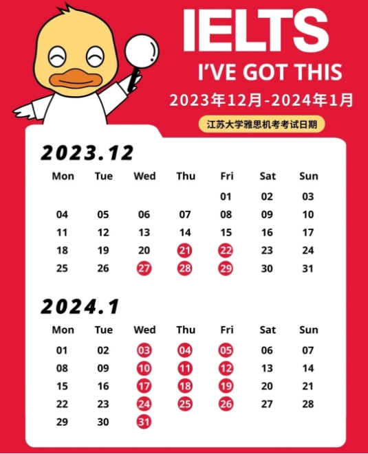 2024年12月24日现货白糖价格行情今日报价多少钱一吨