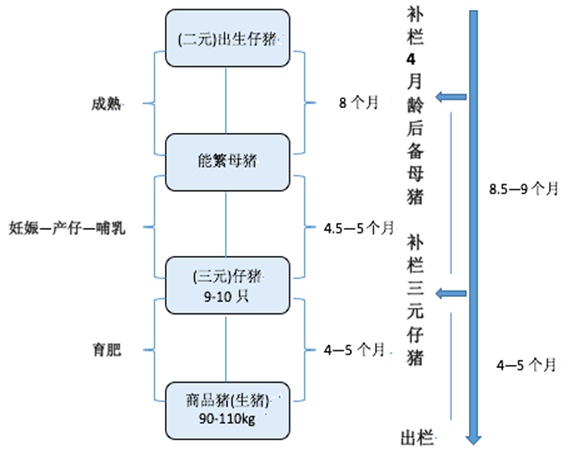 12月24日玉米期货持仓龙虎榜分析：一德期货增仓15958手多单