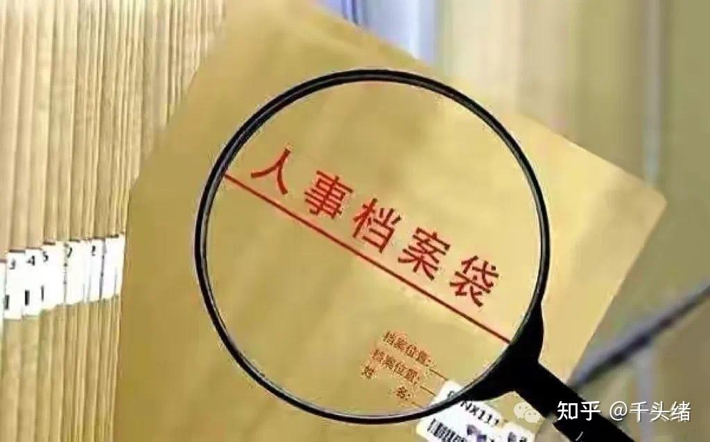 2024年12月25日松树皮报价最新价格多少钱