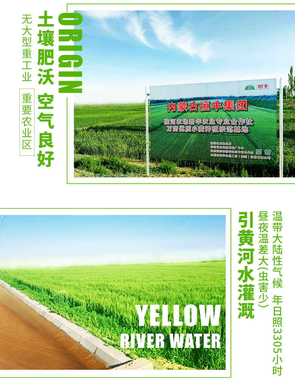 2024年12月25日工业面粉价格行情最新价格查询