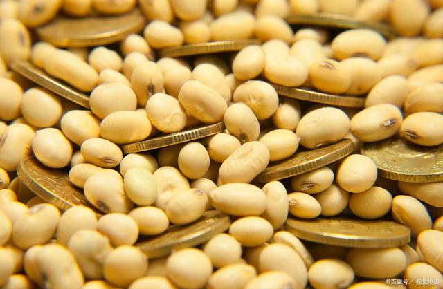 目前大豆供应充裕 预计豆粕价格反弹幅度或受限