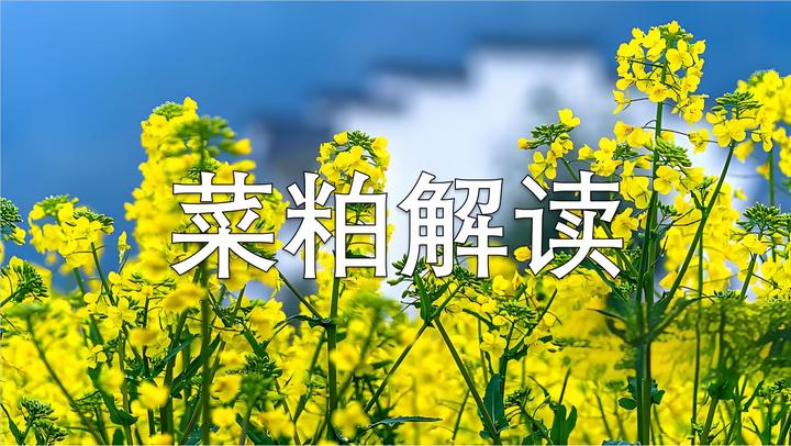 菜籽粕反倾销调查还未定论 基本面短期利空价格