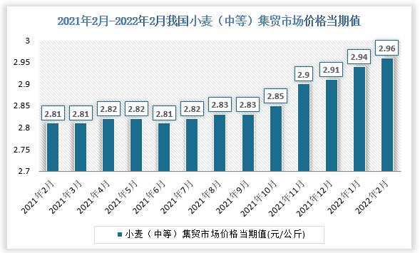 （2025年1月8日）今日小麦期货和美小麦价格行情查询