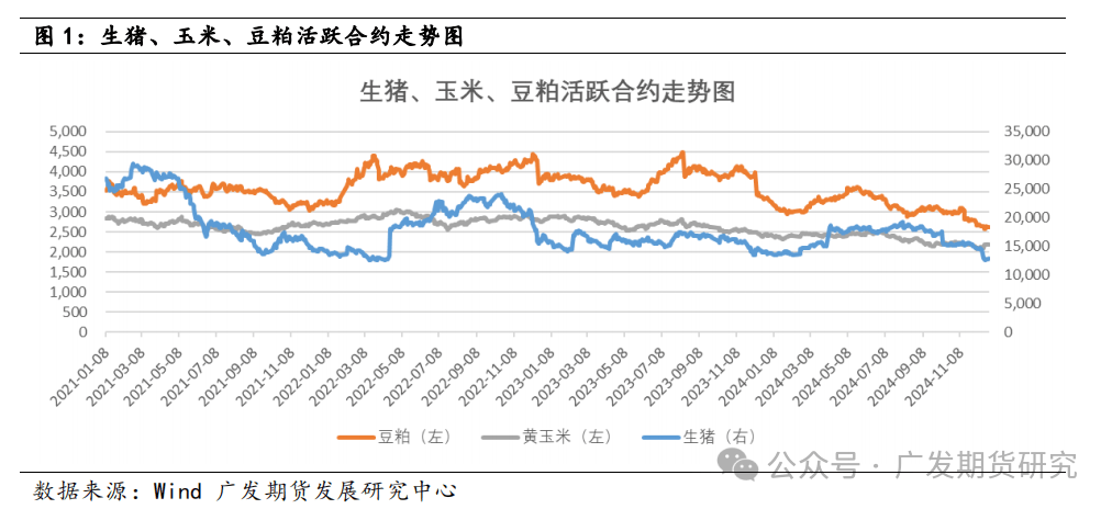 （2025年1月10日）今日生猪期货最新价格查询