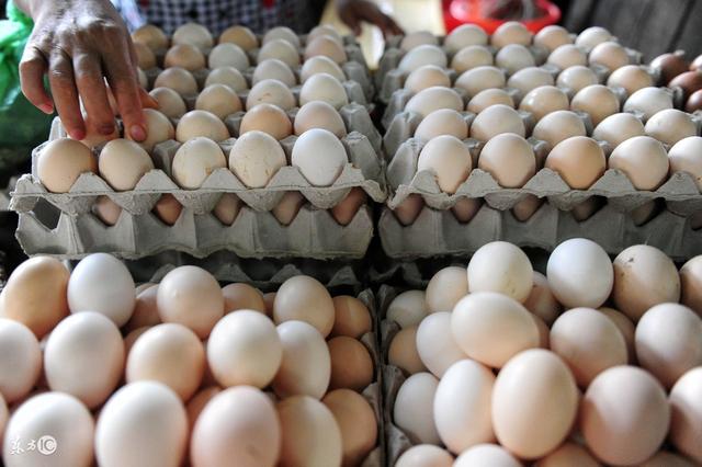 （2025年1月13日）今日鸡蛋期货价格行情最新价格查询