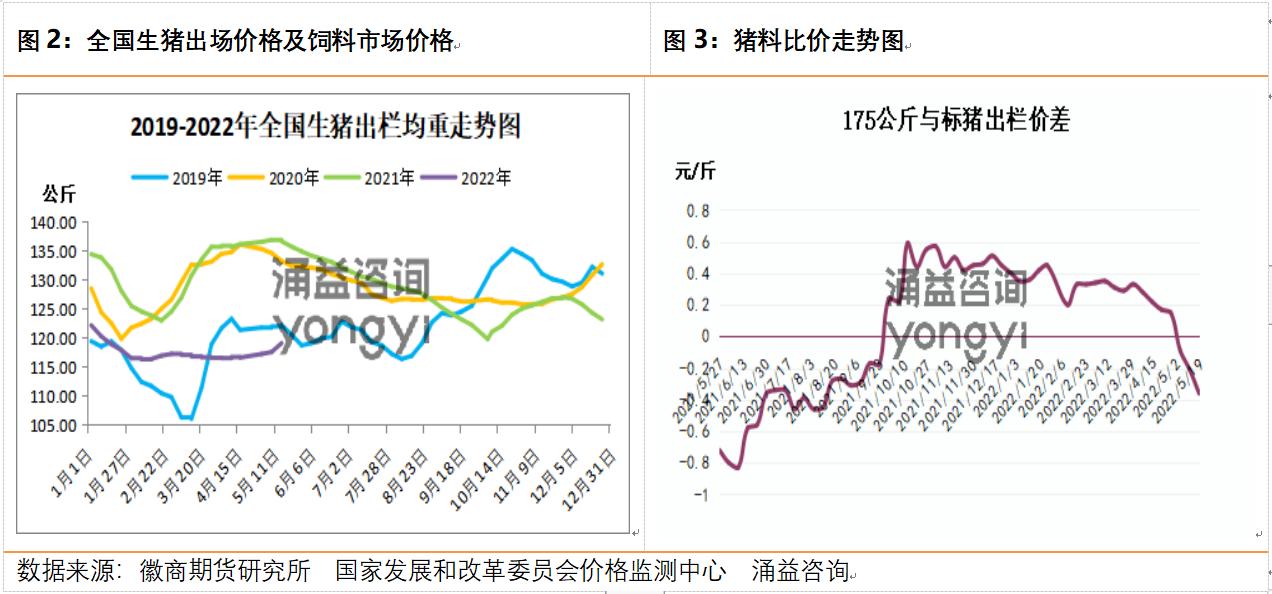 (2025年1月13日)今日生猪期货最新价格查询