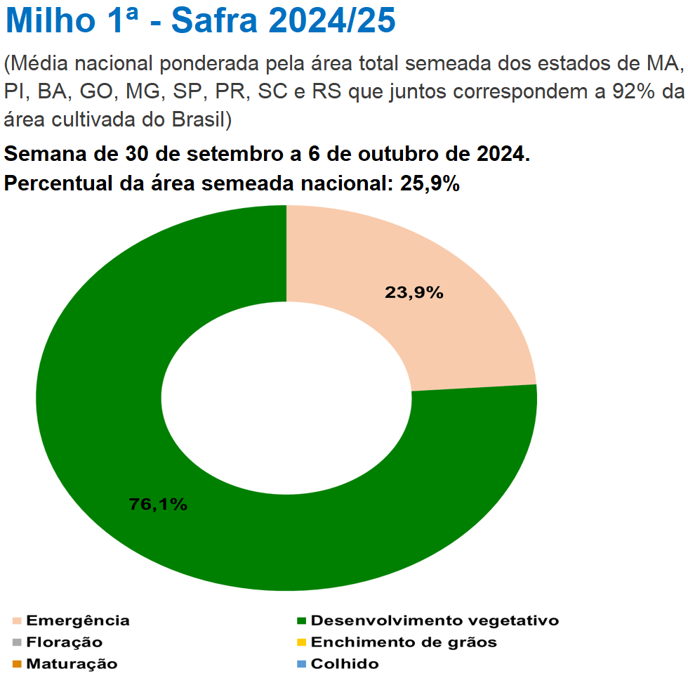 （2025年1月14日）今日玉米期货和美玉米最新价格查询