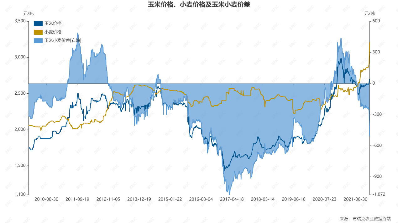 （2025年1月16日）今日小麦期货和美小麦价格行情查询