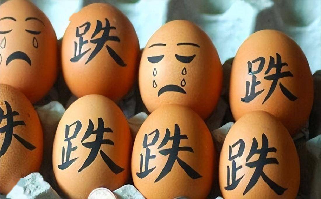 节前蛋价或将震荡为主 老鸡淘汰进入季节性旺季