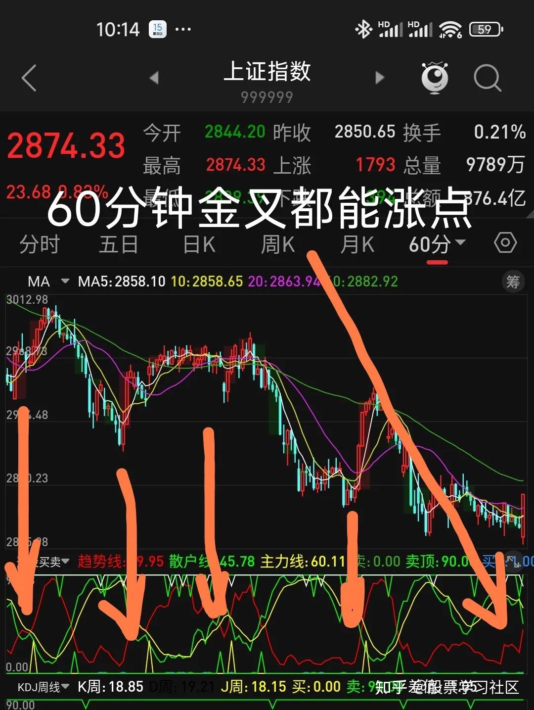 2025年1月18日最新松树皮价格行情走势查询