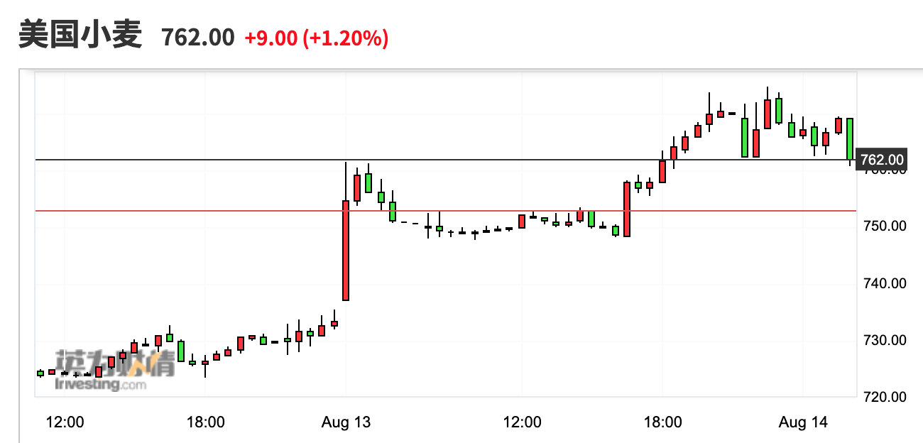 （2025年1月22日）今日小麦期货和美小麦价格行情查询