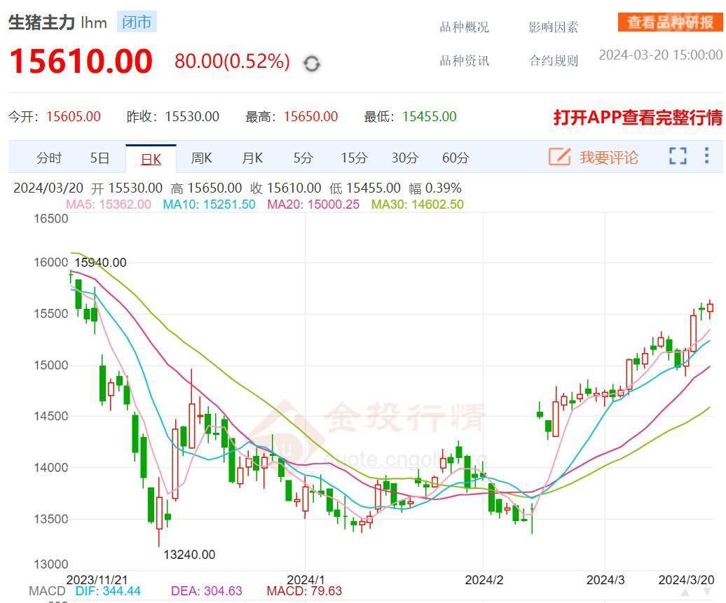 （2025年1月22日）今日生猪期货最新价格查询