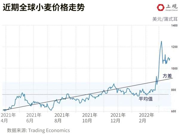 （2025年1月23日）今日小麦期货和美小麦价格行情查询