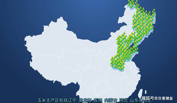 1月23日玉米淀粉期货持仓龙虎榜分析：创元期货增仓369手多单