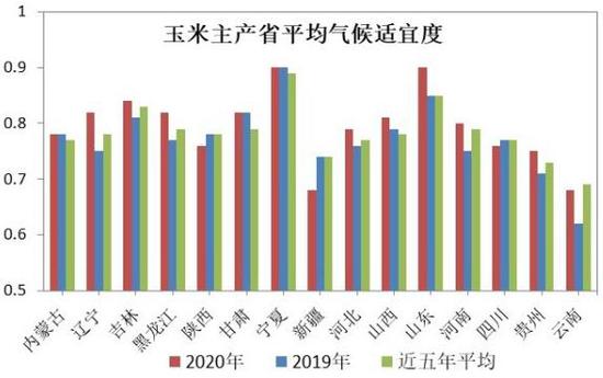 （2025年1月24日）今日玉米期货和美玉米最新价格查询