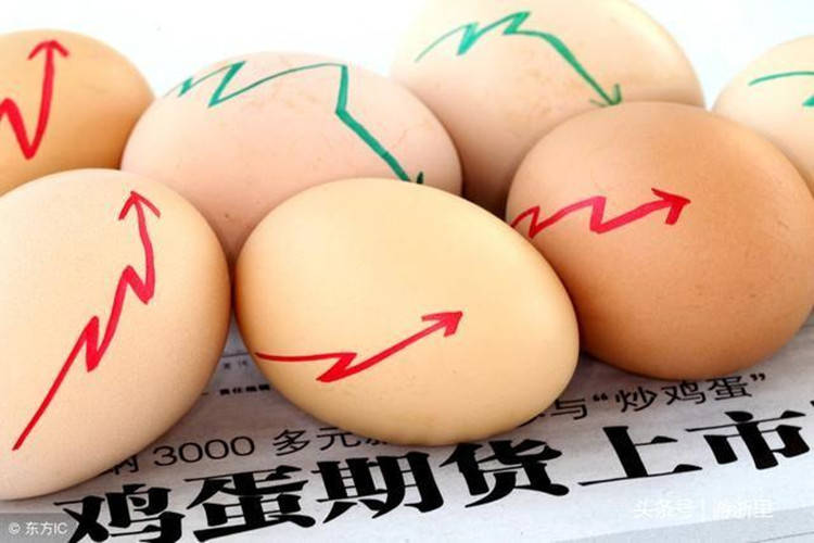 （2025年1月24日）今日鸡蛋期货价格行情最新价格查询