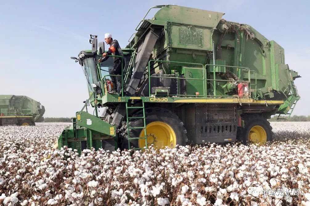 1月27日收盘棉花期货资金流入9267.94万元